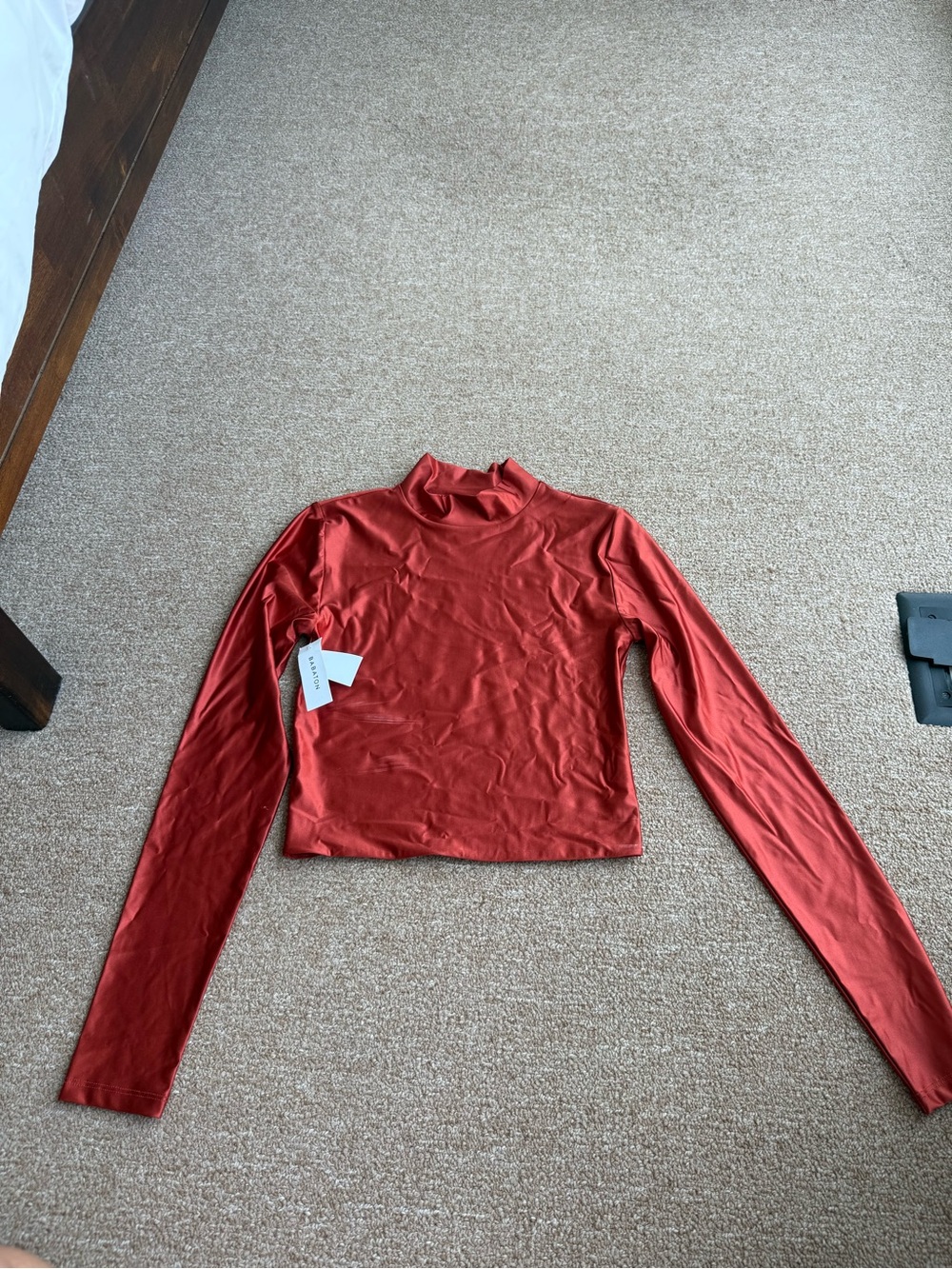 Aritzia Long Sleeve Mock Neck Crop Top in Rust